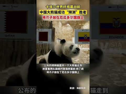 新星闪耀,超越全红蝉,参赛更早,米兰体育官网,APP下载,注册领彩金,官方网站,网站入口