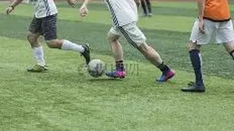 2025暑期电影档回顾：洞察趋势与揭示乱象