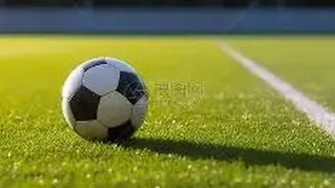 米兰体育 资讯 091902 mcy